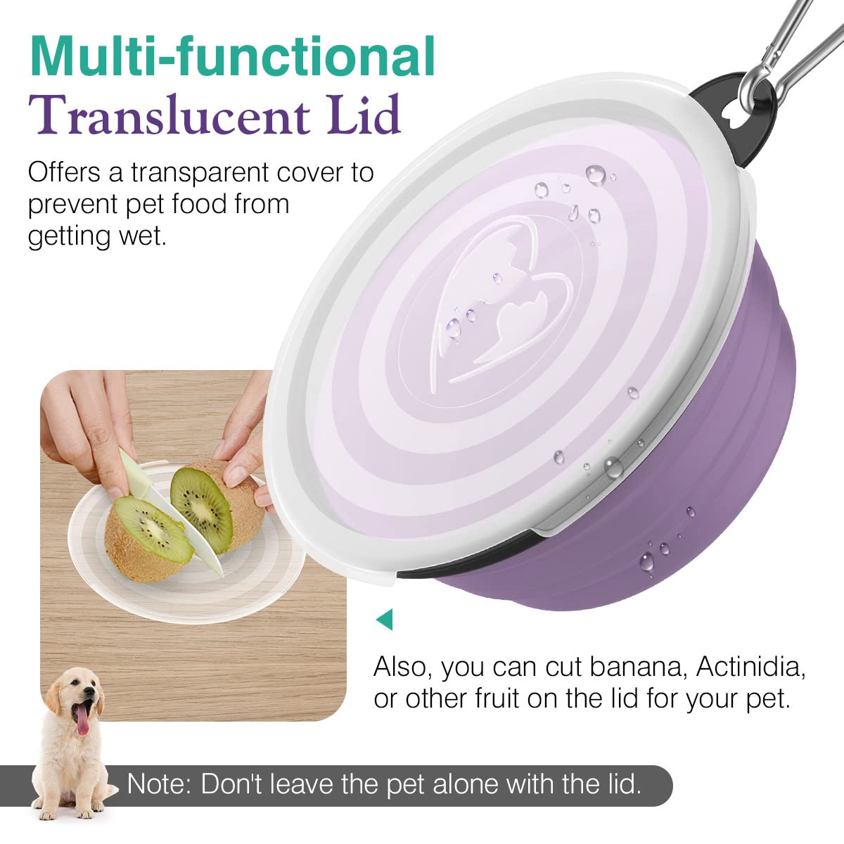 Pawaboo Collapsible Dog Bowls 2 Pack, Silicone Feeding Watering Bowls with Lids & Carabiners for Dogs Cats, Portable Collapsable Water Feeder Food Bowl for Walking Traveling Home Use, VioletTurquoise