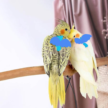 Adjustable Bird Leashes and Harnesses, Bird Nylon Harness with Cute Wing for Parrots, Pet Bird Accessories, Bird Leash for Hang Out, Suitable for Cockatiel, Quaker, Amazon Parrot and Same Size Birds