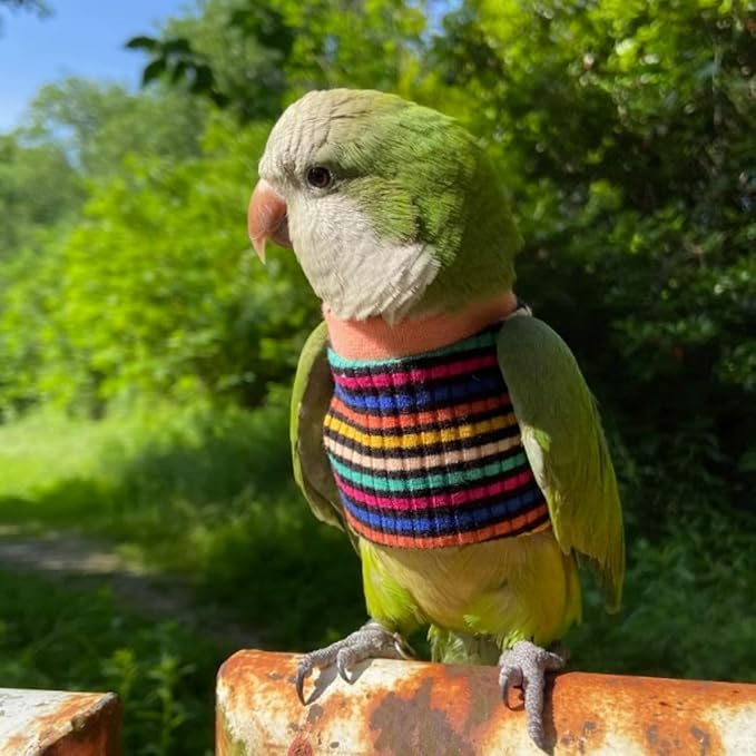 Bird Clothes - Handmade Cotton Stripe Shirt Round Collar Sweater Flight Suit for Parrots African Greys Parakeet Cockatiel Sun Conure Christmas Halloween (with Diaper,2M)