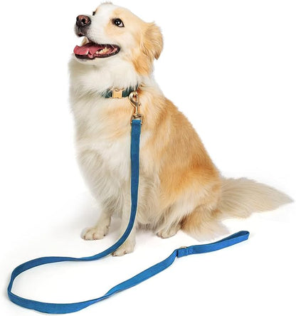 Soft Corduroy Dog Collar and Leash Set Adjustable Durable Dog Collars with Metal Buckle and Lead for Medium Dogs,Royal Blue