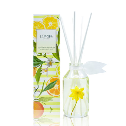 LOVSPA Reed Diffuser Set, Smoked Vanilla Scented Oil Diffuser with Sticks, Home Fragrance Accessories for Bathroom Shelf Decor, Aroma Diffusers for Home or Office Fall Decor, USA Made
