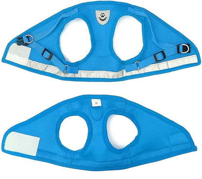 FEimaX Dog Harness and Leash Set for Walking, Soft Mesh Adjustable Easy Control Lightweight Cat Vest Harnesses with Reflective Strips, Escape Proof Small Dogs Cats Vests (Azure, X-Large)