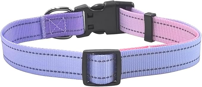 Dog Collar Leash Set, Gradient Color, with Safety Reflective Strips, 5 ft Matching Leash, Neoprene Padded Handle, Adjustable 4 Sizes for Small Medium Large Dogs.(M, Lilac Pink)