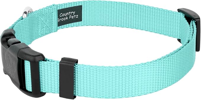 Country Brook Petz - Everyday Nylon Dog Collar and Leash - 10+ Cool Colors (1 Inch, Large, Light Cyan)