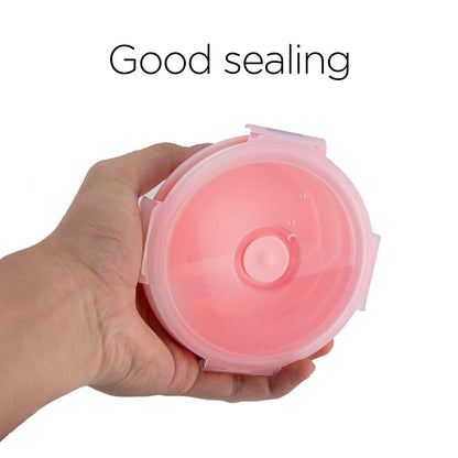 Luter 2 Pieces Collapsible Dog Bowls Silicone Food Water Travel Bowl with Lids Portable Expandable Pet Feeding Watering Cup Dish for Walking Kennels Camping 350ml (12x12x3cm) (Pink & Blue)