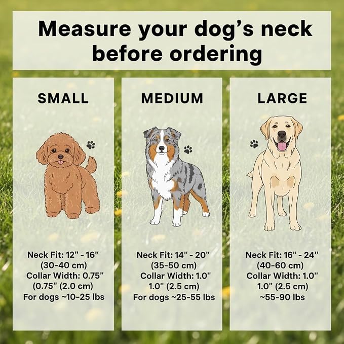 Dog Leash and Collar Set – 6 FT Strong Rope Leash with Padded Handle & Adjustable Nylon Collar Reflective for Small Medium Large Dogs (Pink, S)