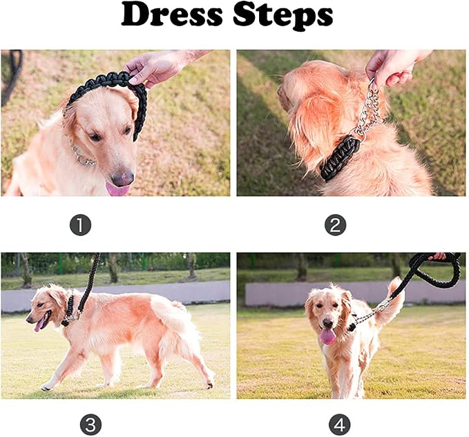 Love Dream Dog Collar and Leash Set, Heavy Duty Nylon Braided Rope Strong 4 FT Dog Leash and Martingale Training Collar for Small Medium Large Dogs Training and Walking (Black)