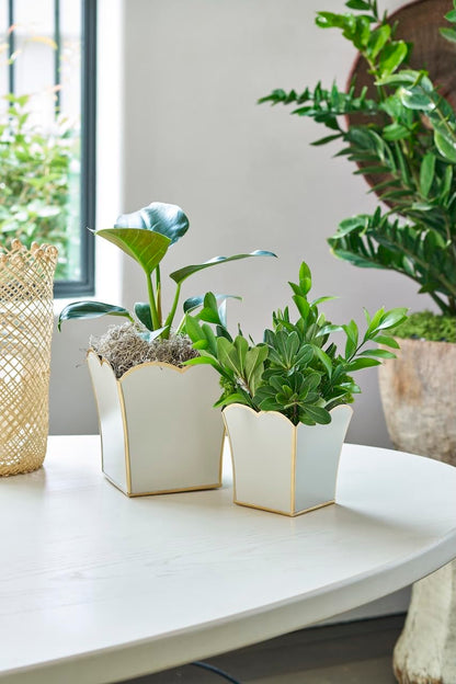 Jaye's Studio Decorative Square Cachepot Flower Pot, House Plant Pot Indoor, Modern Scalloped Planter, Boho Planter, Metal Pot - Floor, Tabletop, Porch & Window Planter for House Decor