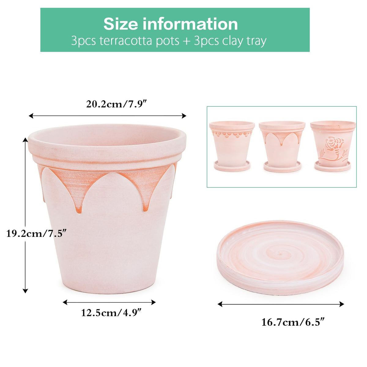 Sungmor Terra Cotta Pot Set - 3 Unique Embossed Clay Planters with Saucer & Drainage, 8 Inch Large & Deep, Pretty Color, Ideal for Orchid, Cactus, Succulent