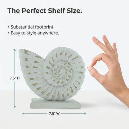 The Bridge Collection Whitewashed Wooden Seashell Figurine (Nautilus Shell)