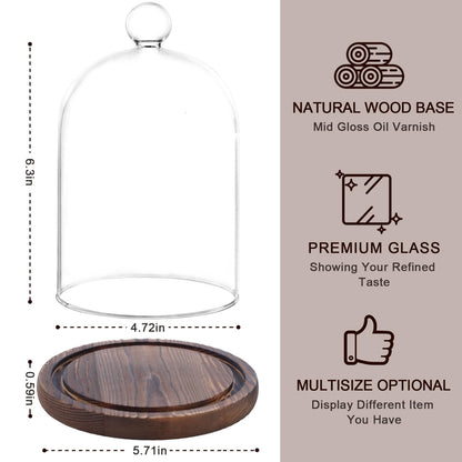 REFSAVER Glass Dome with Base,Glass Cloche Bell Jar,Display Case with Wooden Base for Plants,Collectibles (4.7 * 6.3 inches)