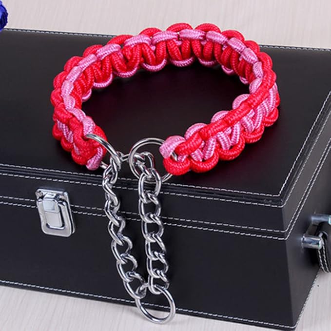 Love Dream Dog Collar and Leash Set, Heavy Duty Nylon Braided Rope Strong 4 FT Dog Leash and Martingale Training Collar for Small Medium Large Dogs Training and Walking (Purple)