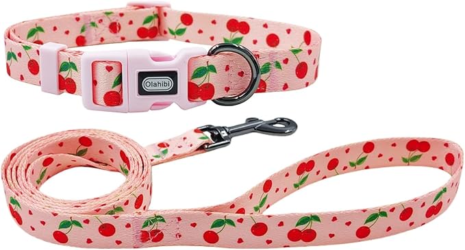 Dog Collar Leash Set, Fruit Pattern, Polyester Material, Adjustable Collar and 5ft Matching Leash, for Puppy Dogs.(XS, Pink Cherry)