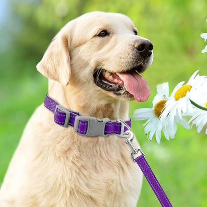 Dog Collar for Medium Small Large Dogs Reflective with Leash,Collar and Leash for Dogs,Soft Neoprene Padded 2 Pack(Purple,L)