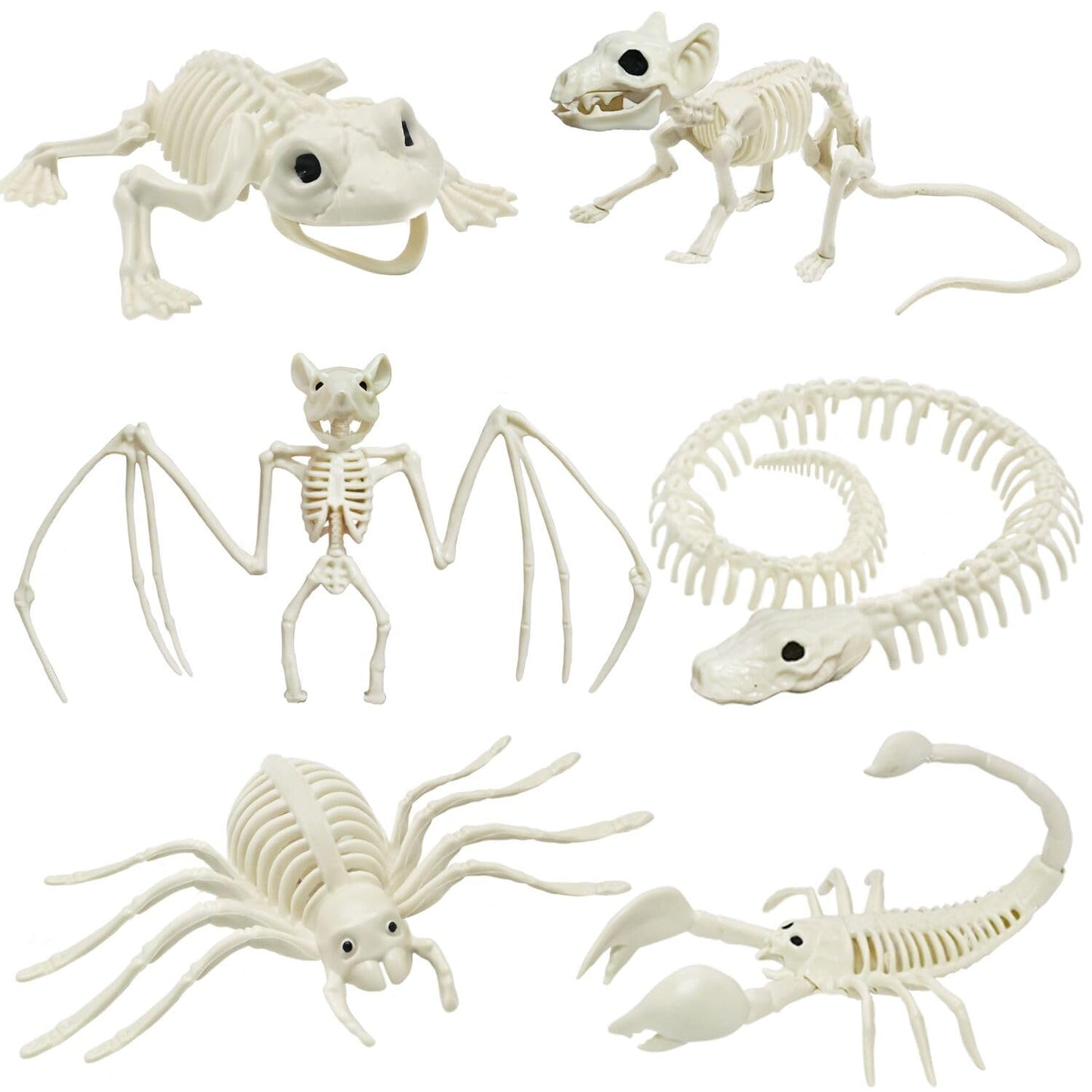 CAMIRUS 6Pack Animal Halloween Skeletons, Plastic Animal Skeleton with Bendable Tails and Movable Jaws for Halloween Party Haunted House Indoor Outdoor Decorations