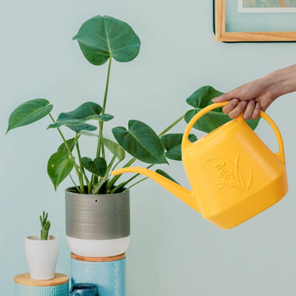 VKPLITE Plant Watering Can - 1/2 Gallon - Orange