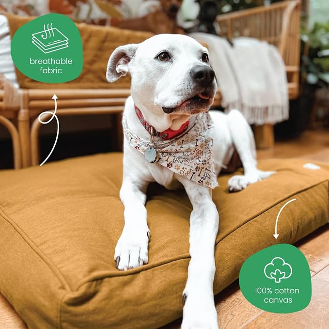 Molly Mutt Fast Car Dog Bed Duvet Cover, GOTS-Certified 100% Cotton Canvas Cover for Dog, Puppy, or Cat Bed, Durable, Washable, and Free of Harmful Chemicals, Huge, 36"x45"x5", Mustard Yellow