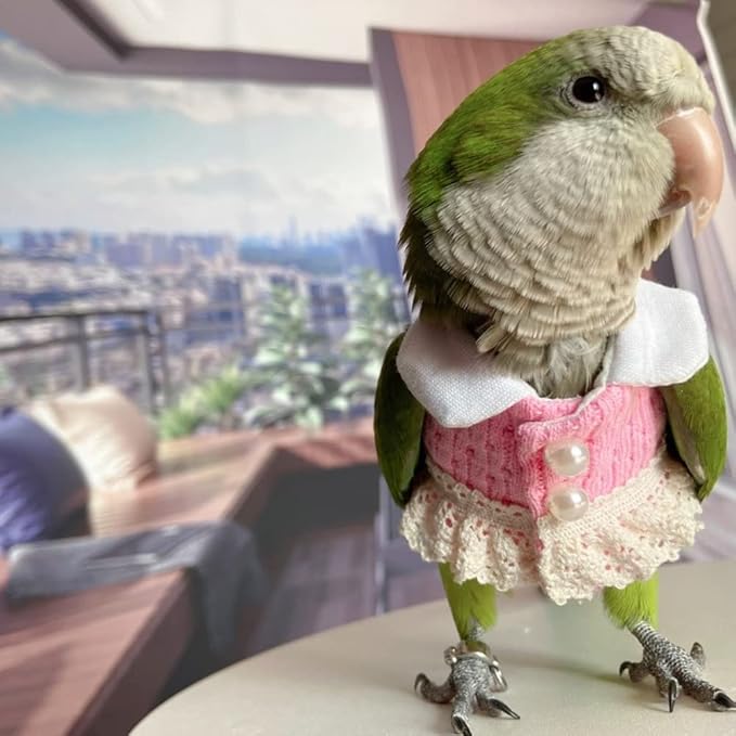 Bird Apparel Clothes for Multiple Bird Species, Cockatoo Costume, Pink Top, Holiday Photo Prop, Unisex, Cloth, Hand Wash Only, Small