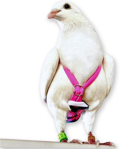 FLYPER Adjustable Mini Bird Diaper | Reusable, Washable Cloth | Comfort Fit for Parrots, Cockatiels, and Other Small Birds | Fashionable Avian Accessories Butterfly, Butterfly Bonanza, Size 9