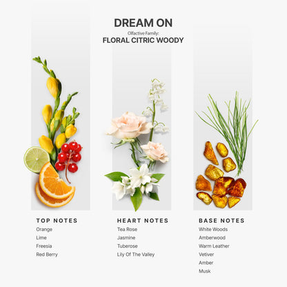 AromaPlan Hotel Scents Santal 5 Fl Oz (148ml), Home Luxury Aroma & Hotel Fragrance Diffuser Oil- Hotel Diffuser Oil for Aromatherapy- USA Made, Bigger Bottle, Bolder Aroma & Longer Lasting