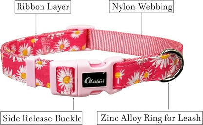 Dog Collar Leash Set, Floral Pattern, Nylon Webbing Plus Cotton Ribbon, 5ft Matching Leash, for Medium Dogs.(M, Pink Daisy)