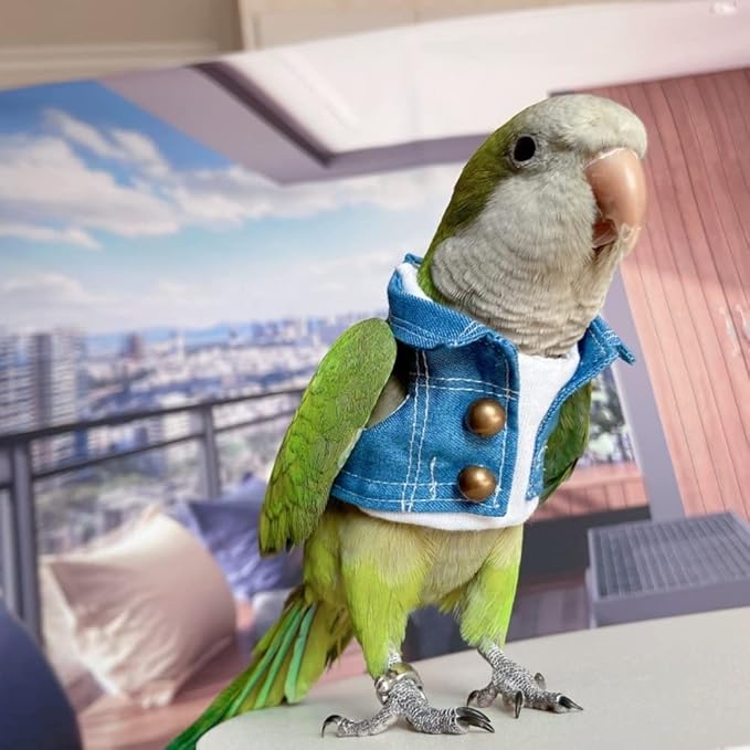 Bird Costume Bird Diaper Flight Suit Bird Jeans Fake Two Pieces Bird Clothes Cosplay Photo Prop for Parrots Lovebird Parakeet Cockatiel Small Animals Apparel (with Diaper,Cockatoo)