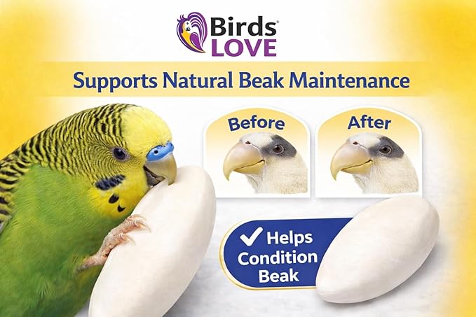 Birds LOVE 3.5-4″ Cuttlebone for Birds – 100% Natural Sun-Dried Calcium & Beak Conditioning Supplement for Parakeets, Budgies, Cockatiels, Finches & Canaries – 4 Pack with Holder – Made in Vietnam