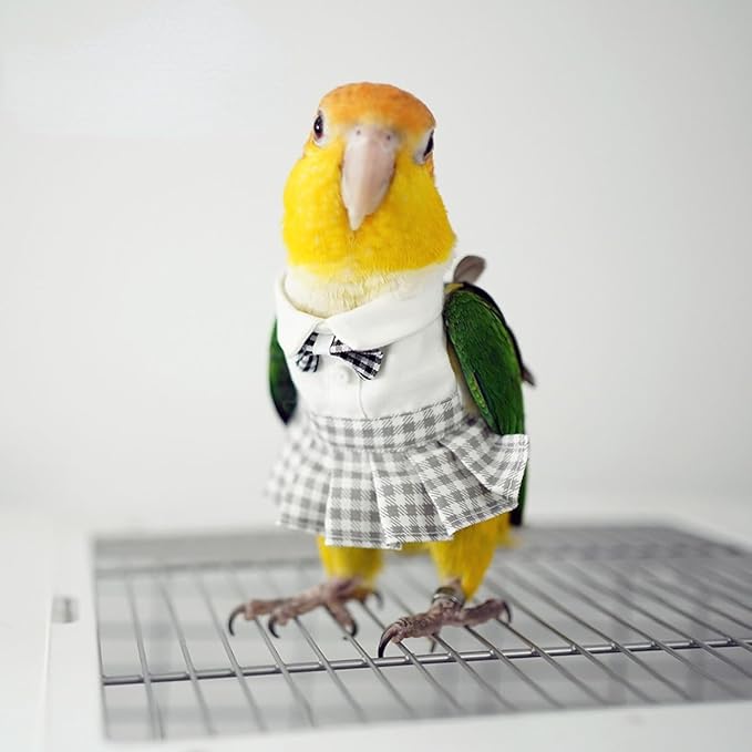 Bird Costume Bird Diaper Flight Suit Cute JK Dress Dress Skirt Clothes Cosplay Photo Prop for Parrots Macaw Cockatoo (with Diaper,Sulphur-Crested Cockatoo)