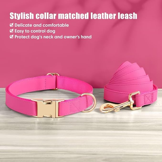 PET ARTIST Soft PU Leather Dog Collar and Leash Set, Bright & Stylish 5FT PU Leather Leash and Collar Set, Durable Pet Collars with Quick Release Metal Buckle for Medium Dogs,Hot Pink,M(13-19")
