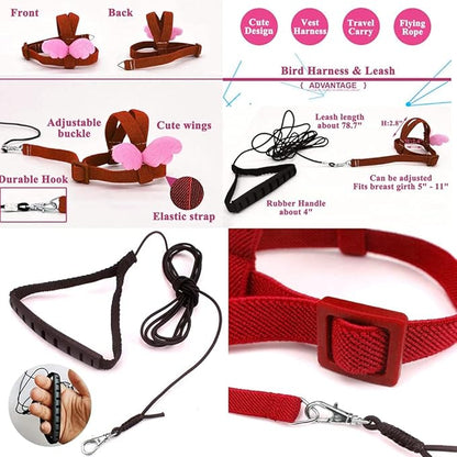 Birds Adjustable Harness and Leash, Parrot Outdoor Flying Training Traction Rope Straps with Cute Wing for Small Animal Birds, Parrots, Pigeons, Lizard, Turtles (S,Red)