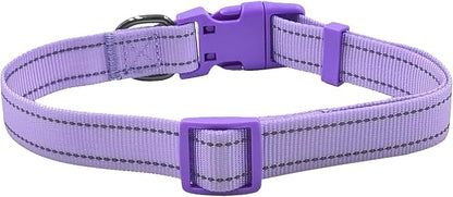 Dog Collar Leash Set,with Relfective Strips,Lilac Purple,Extra Small. | Adjustable Collar,5 ft Matching Leash,Neoprene Padded Handle.