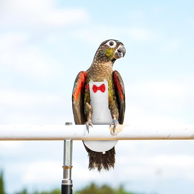 Generic Flight Bird Diaper Suit for Parrots Liner for Outdoor Fun and Comfortable Design for Parakeets and Cockatiels