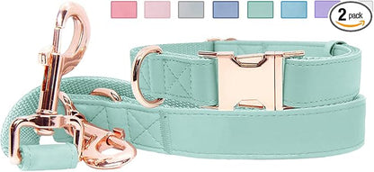 Soft Leather Dog Collar and Leash (6.6') Set - Stylish Rose Gold Heavy Duty Metal Buckle, 4 Adjustable Lengths Leash for Small Medium Large Dogs - Comfortable & Easy to Clean Mint Green L(15.4"-24.8")
