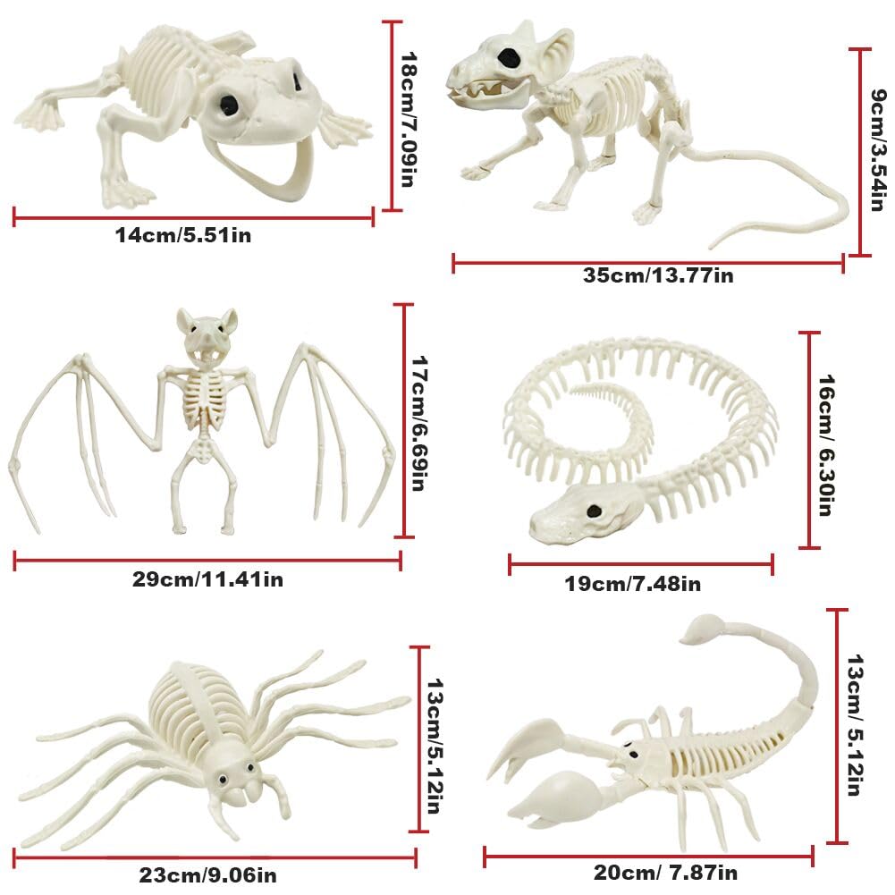 CAMIRUS 6Pack Animal Halloween Skeletons, Plastic Animal Skeleton with Bendable Tails and Movable Jaws for Halloween Party Haunted House Indoor Outdoor Decorations