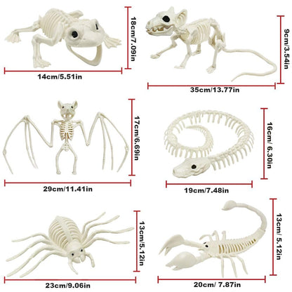 CAMIRUS 6Pack Animal Halloween Skeletons, Plastic Animal Skeleton with Bendable Tails and Movable Jaws for Halloween Party Haunted House Indoor Outdoor Decorations