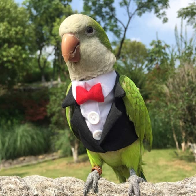 Bird Clothes Birds Flight Suit,Tuxedo Business Suit for Parrots African Greys Parakeet Cockatiel Sun Conure Christmas Party Birthday Cosplay Photo Prop Small Animals Apparel (4XL,Black Suit)