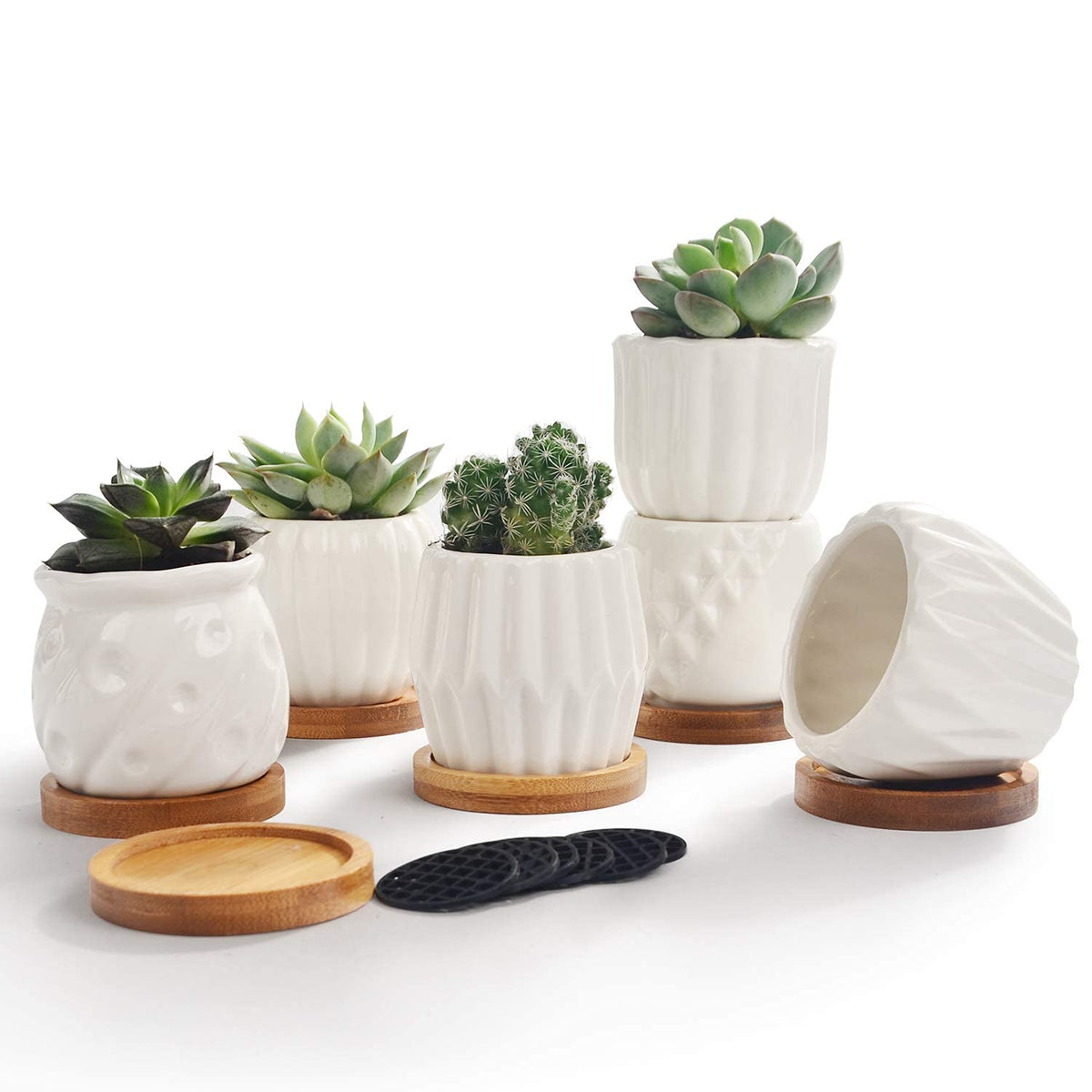 B SEPOR Set of 6 White Simple Porcelain Planters for Small Plant Pots Baby Succulent Cactus with Drainage and Saucer for Home Office Decoration Gift(White Stripes)