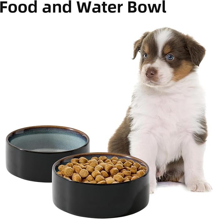 Havniva Cat Bowls Water Bowl Set of Two, 6.1” Ceramic Cat Food and Water Bowl Whisker Friendly Pet Food Bowls for Indoor Cats, Wide Cat Water Dish Prevent Whisker Fatigue Non Slip Cat Feeder