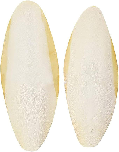 SunGrow Large Cuttlefish Bones for Cockatiels, Turtles, Shrimp, Dog Calcium Supplement, Cage Holder Included, 2 Pieces per Pack