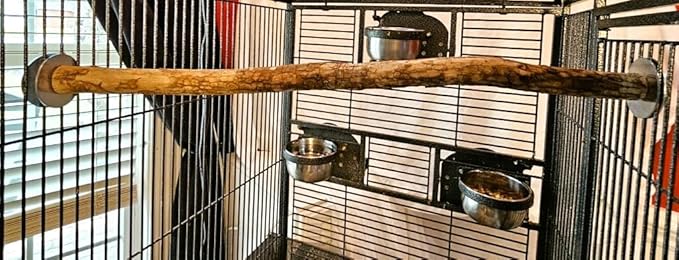 Polly's Full Length Hardwood Bird Perch, 20-Inch