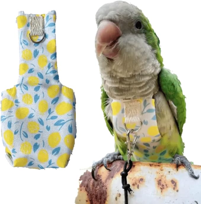 Bird Diaper Harness Flight Suit Clothes, Parrot Flight Suit with Leash, Bird Flying Clothes with Rope and Handle for Outdoor Activities Training (Yellow Without Leash,Small)