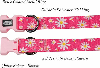 Dog Collar Leash Set, Floral Pattern, Polyester Material, Adjustable Collar and 5ft Matching Leash, for Puppy Dogs.(XS, Pink Daisy)