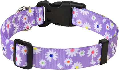 MarukoPet Dog Collar and Leash Set, Adjustable for Small Medium Large Dogs Puppy, Cute Design with Bohemia Floral Tribal Geometric Patterns Boys Girls Dog Collar(Purple Daisy Set,L)