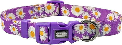 Dog Collar and Leash Set, Cute Daisy Pattern, Polyester Material, 5ft Leash, for Puppy Dogs.(Extra Small,Purple Daisy)