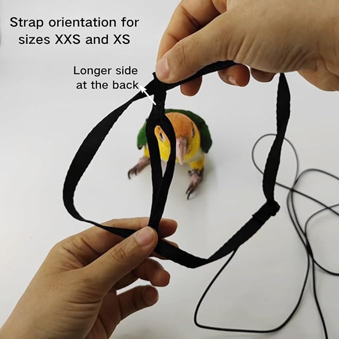Adjustable Bird Harness and Leash for Parrots Outdoor Flight Training Anti-Bite Light Weight Easy-to-Wear Bird Vest with 59 Inch Elastic Leash for Quaker Conure African Grey Macaw Cockatoo (M)