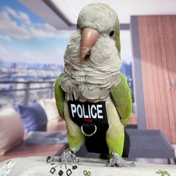 Bird Clothes Parrot Diapers Bird Flight Suits, Reusable Waterproof Diapers pet Bird Supplies (2XL)