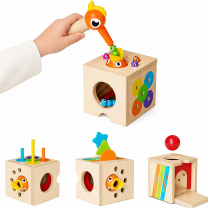 Paisure 5-in-1 Wooden Activity Cube, Magnetic Bird Feeding Toy