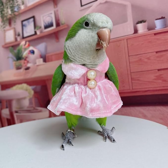 Bird Costume Bird Diaper Flight Suit Parrot Velvet Fleece Skirt Clothes Cosplay Photo Prop for Conure Lovebird Parakeet Cockatiel Macaw Small Animals Apparel (Pink,Sulphur-Crested Cockatoo)