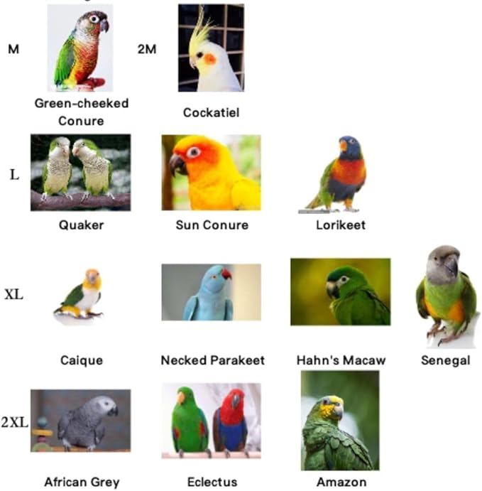 Bird Costume Bird Diaper Flight Suit Cute JK Dress Dress Skirt Clothes Cosplay Photo Prop for Parrots Macaw Cockatoo (Without Diaper,L)