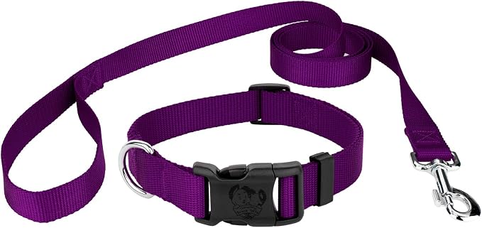 Country Brook Petz - Everyday Nylon Dog Collar and Leash - 10+ Cool Colors (3/8 Inch, 2XS, Purple)